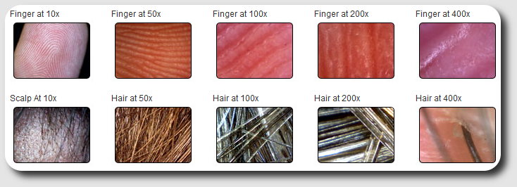 immagini esempio microscopio digitale proscope HR