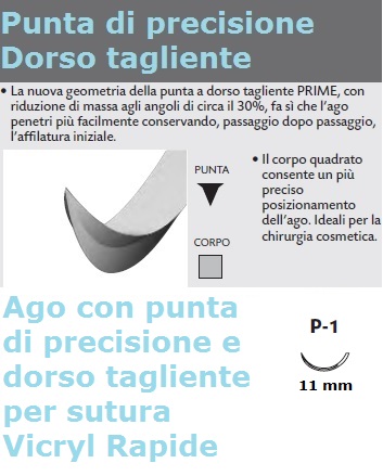 Dettaglio ago con punta di precisione e dorso tagliente