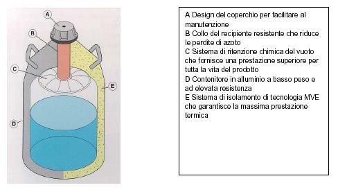 Contenitori criogenici