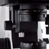 Microscopio Motic BA210 binoculare
