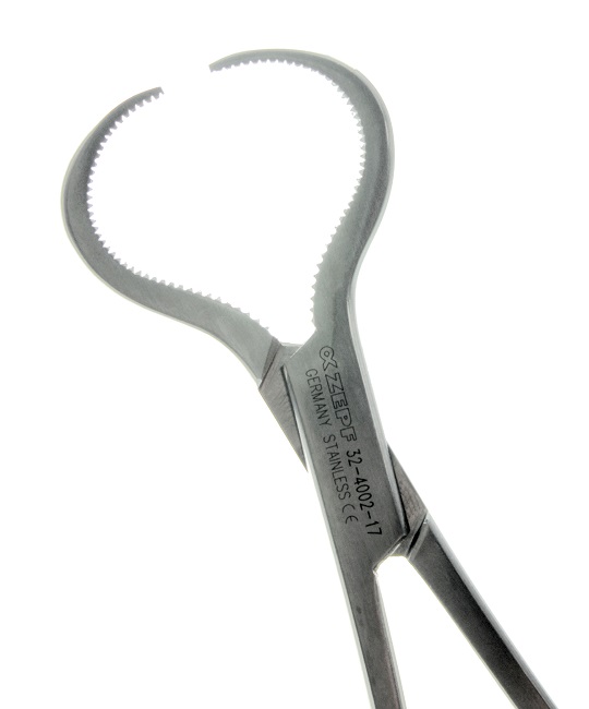 Pinza Lewin 17,5 cm, dettaglio morso