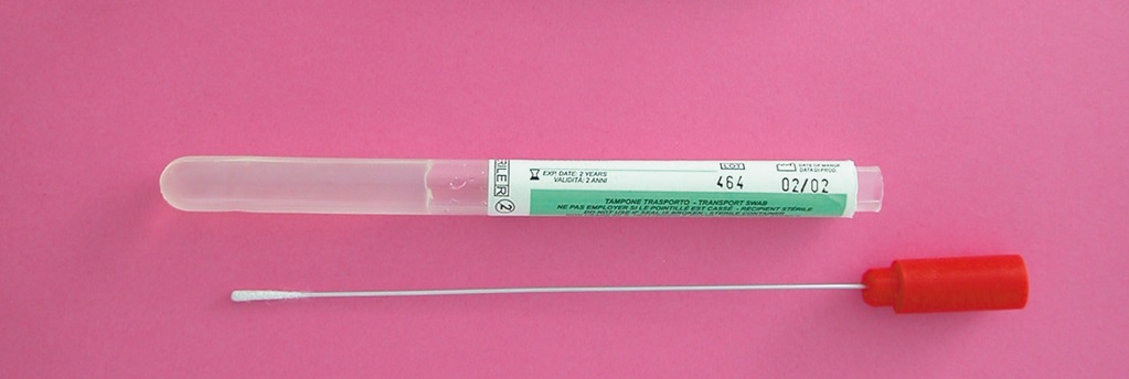 Applicatori Con Punta In Cotone 15,2 Cm - Sterili, Asta In Legno, 200 Pezzi - Per Cura Ferite, Pulizia, Applicazione Farmaci