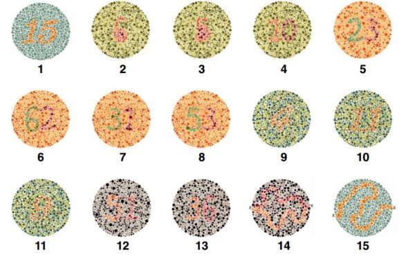 15 tavole di Ishihara per adulti