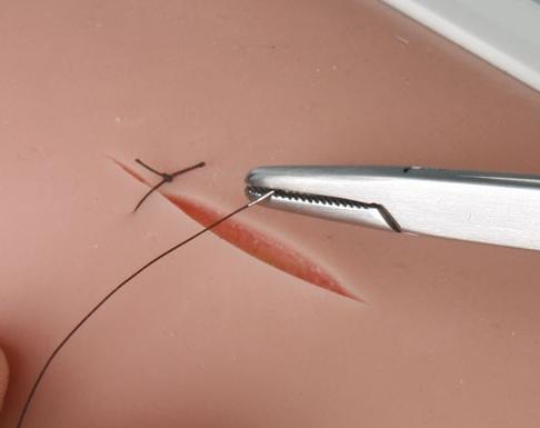 Esempio di utilizzo trainer per sutura