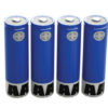 Kit batterie Litio formato AA per serie Dermlite Lumio  cod. DCP-01LUMB