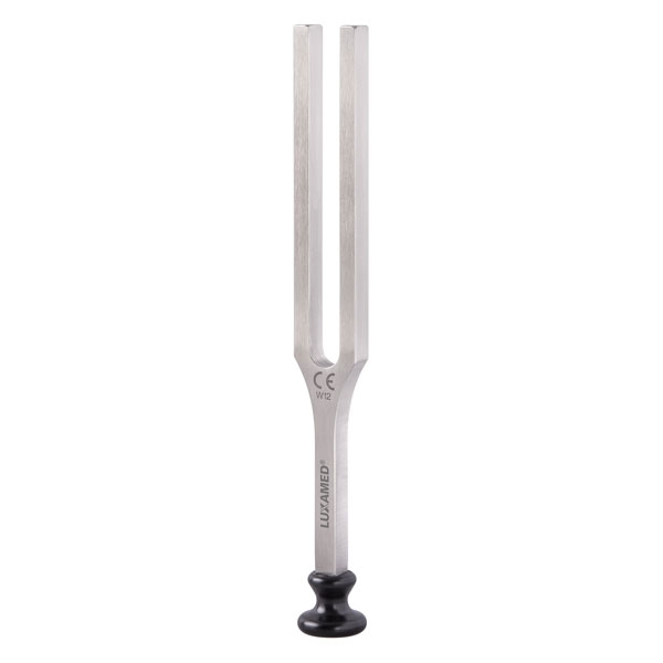 Diapason A440 Hz En Acier Inoxydable – Accordeur Pour Piano, Guitare, Violon Et Autres Instruments